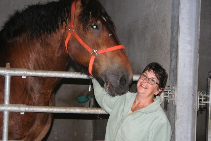 Photo de profil de brabantrait