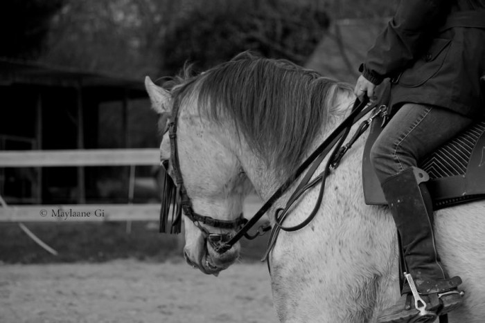 Photo de profil de caro35