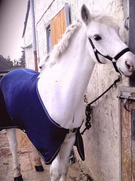Photo de profil de carolina60