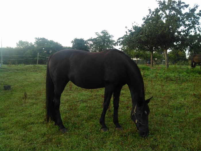 Photo de profil de casiopee