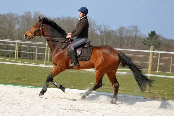 Photo de profil de cecelolo