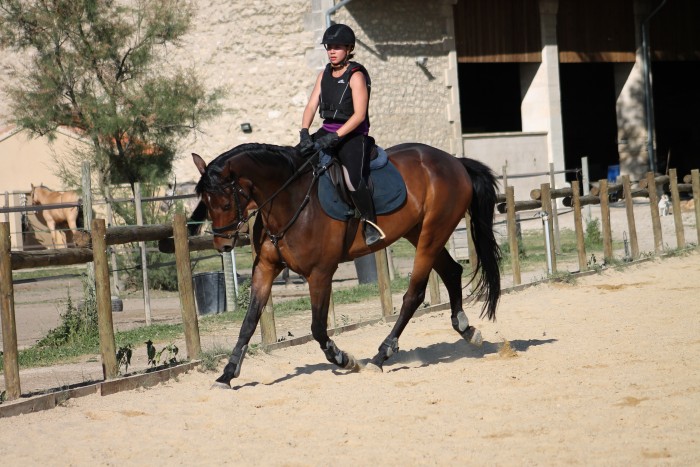 Photo de profil de cecile13200