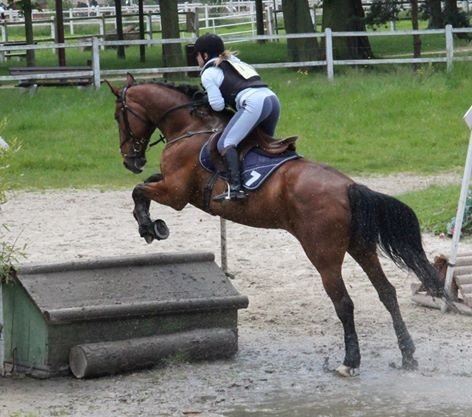 Photo de profil de chevalconcours