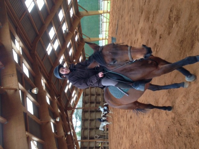 Photo de profil de cheval.love.