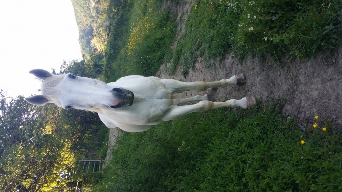 Photo de profil de christelledu6969