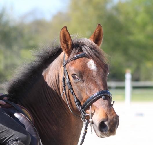 Photo de profil de clarabergeot