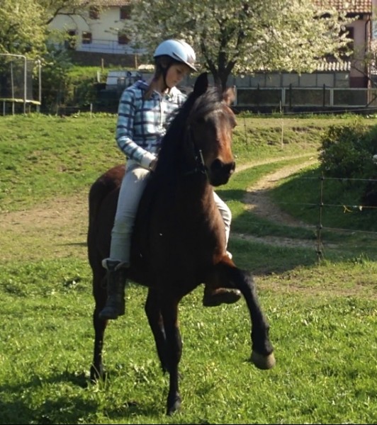 Photo de profil de clocloacti