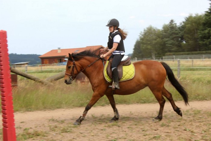 Photo de profil de cloww