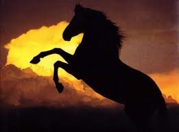 Photo de profil de csosf