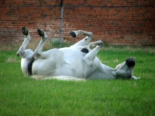 Photo de profil de cyn95