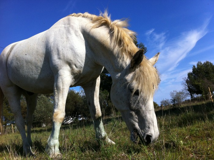 Photo de profil de dadou83