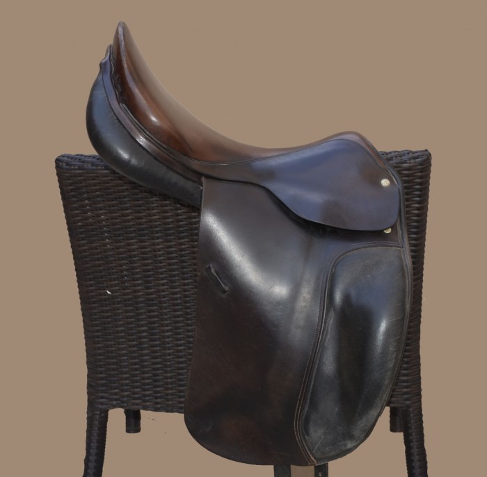 Photo de profil de dressage26