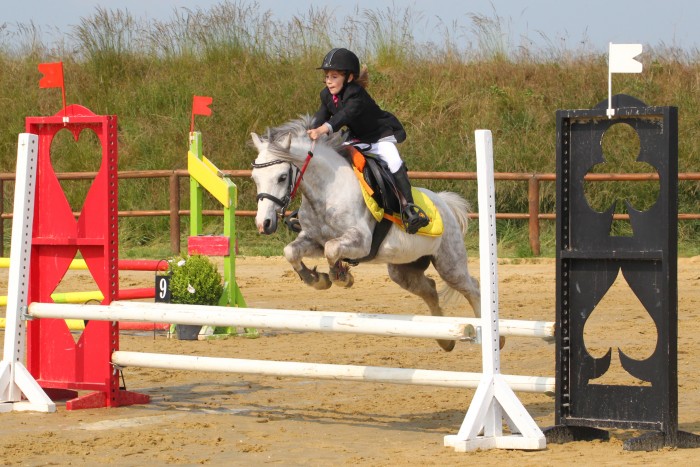 Photo de profil de ecuriea2l