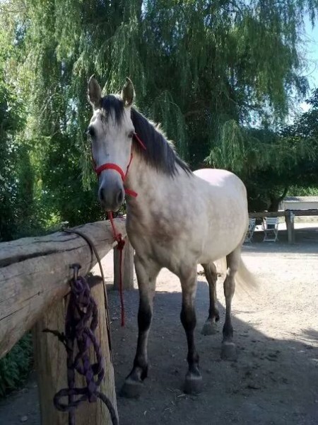 Photo de profil de elo13240