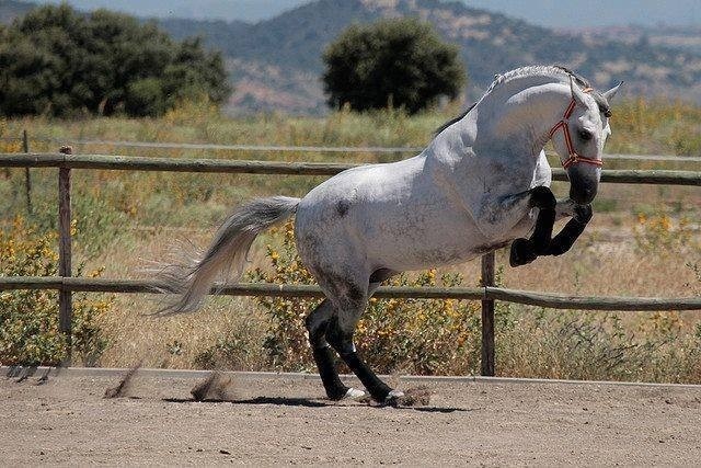 Photo de profil de emmajacob