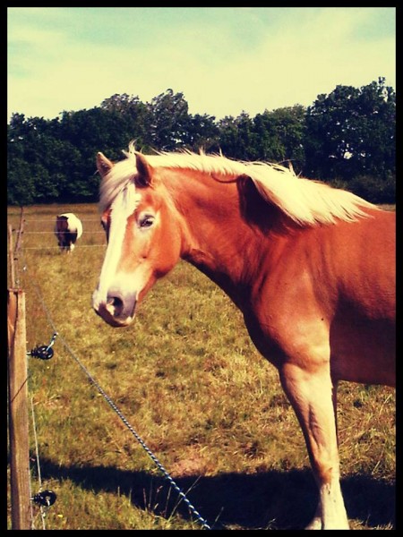 Photo de profil de euphroseen