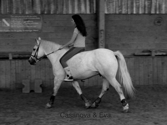 Photo de profil de eva_casanova