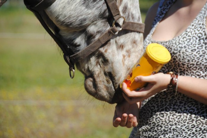 Photo de profil de fafanny15