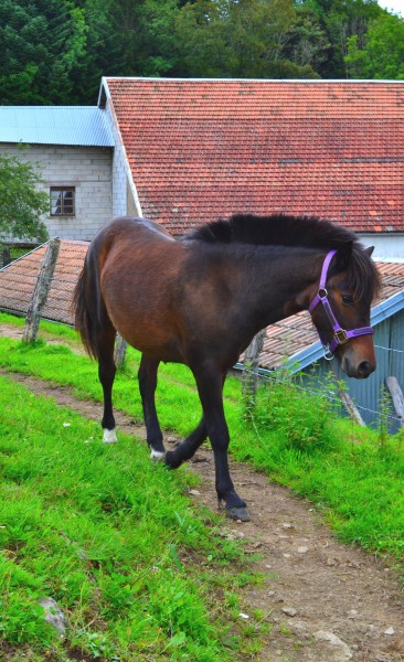 Photo de profil de gabie70