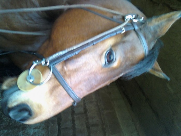 Photo de profil de galia62