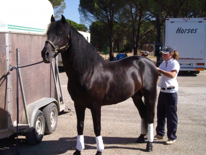 Photo de profil de garbo83