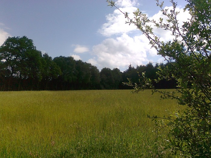 Photo de profil de goldenstud