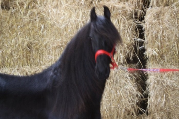 Photo de profil de gradus