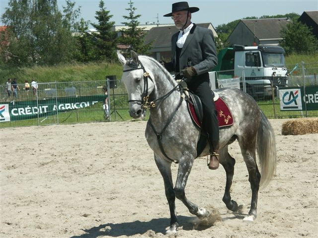Photo de profil de grisou60
