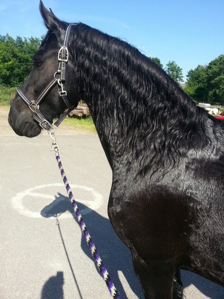 Photo de profil de gucci57