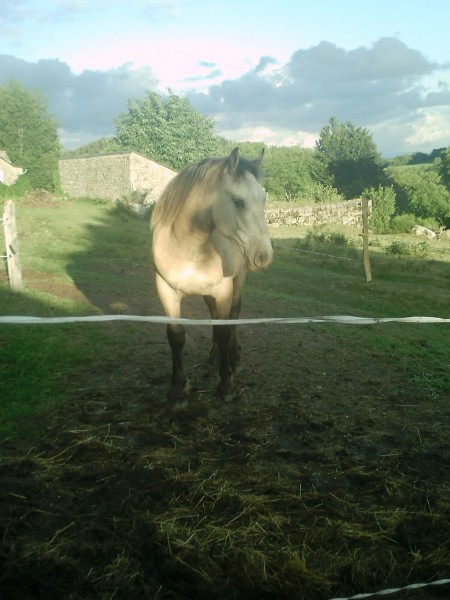 Photo de profil de hidal