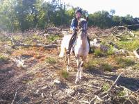 Pierre à sel équitation Cheval et Poney - Sel pur Fougasalt - 5 kg