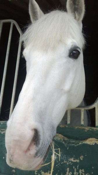 Photo de profil de holliemr