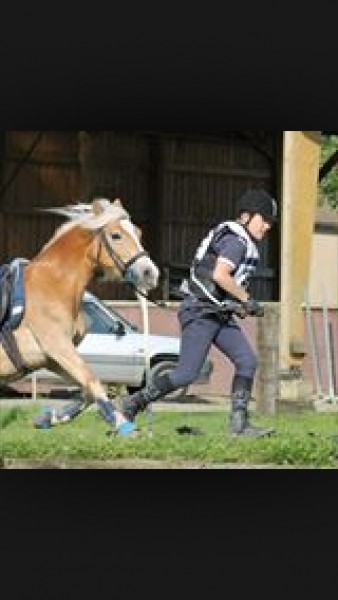 Photo de profil de hugobles