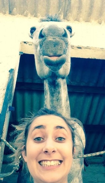 Photo de profil de ilianou