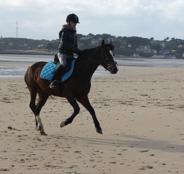 Photo de profil de ilovemyponies