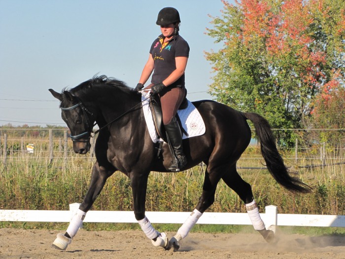 Photo de profil de isora21