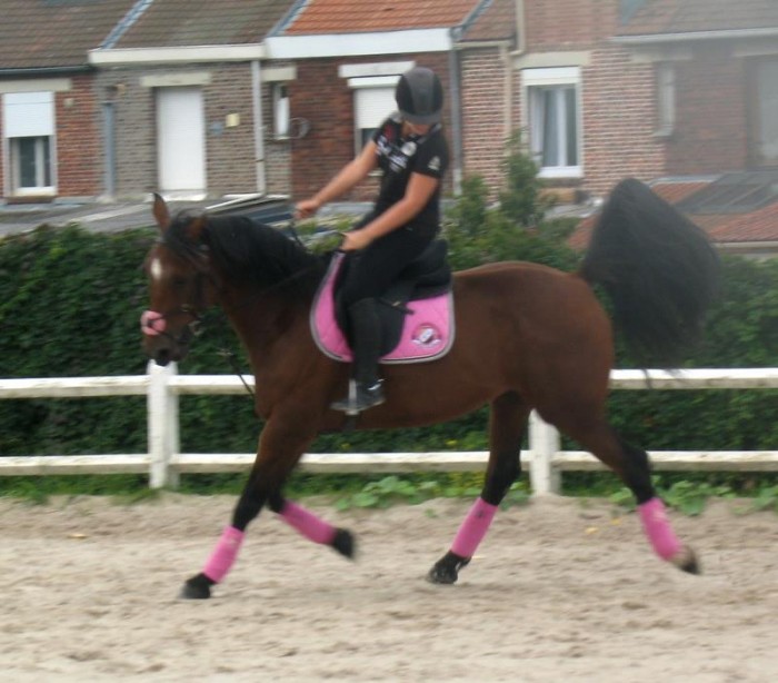 Photo de profil de jeanne59