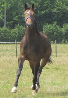 Photo de profil de jeremy35