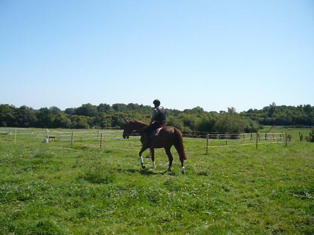 Photo de profil de jjm44