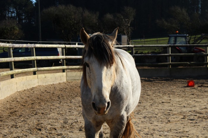Photo de profil de johannal