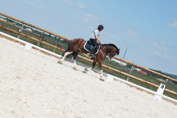 Photo de profil de johxnna