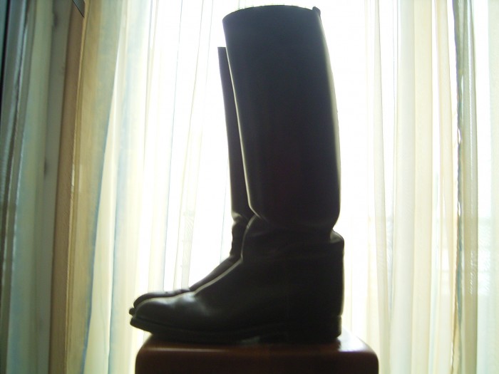 Photo de profil de jppesca