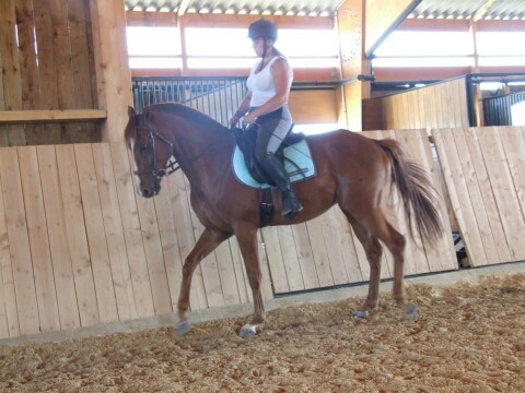 Photo de profil de julietherond