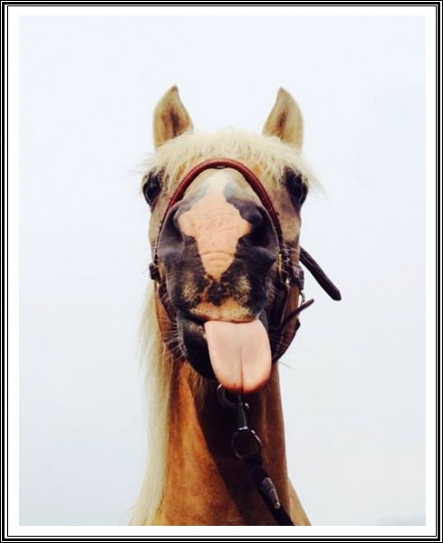 Photo de profil de juliettebigeard