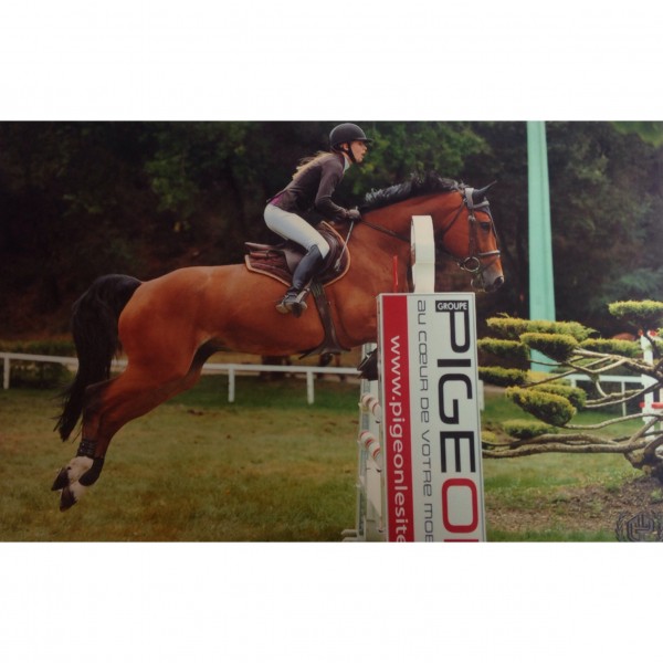 Photo de profil de justinelchn