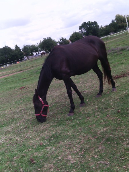 Photo de profil de katiana123