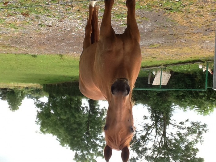 Photo de profil de kiour