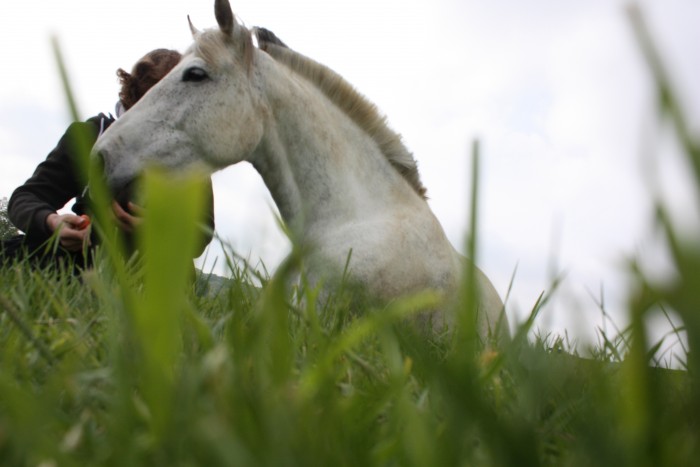 Photo de profil de kmi.d