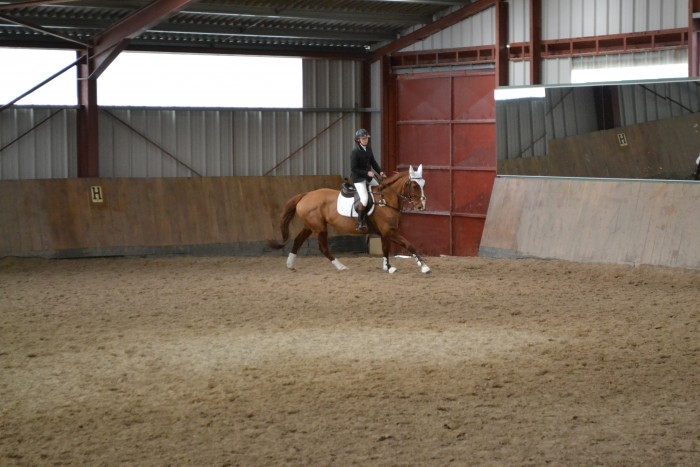 Photo de profil de lauranina