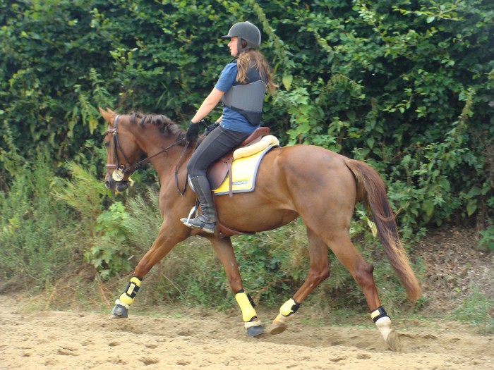 Photo de profil de laurencepalou